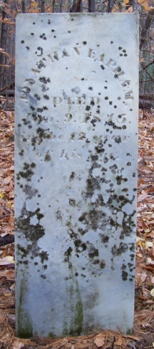 photo of Jonathan Lapham gravestone in Medbery Cemetery