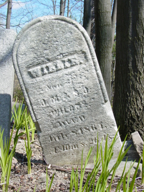 photo of Willie Wilcox stone, Quaker Church Cemetery