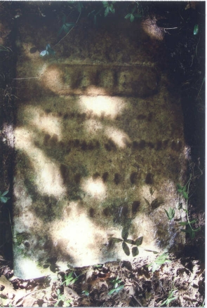 photo of Jane Weaver gravestone in Smith Cemetery, Town of Charlton